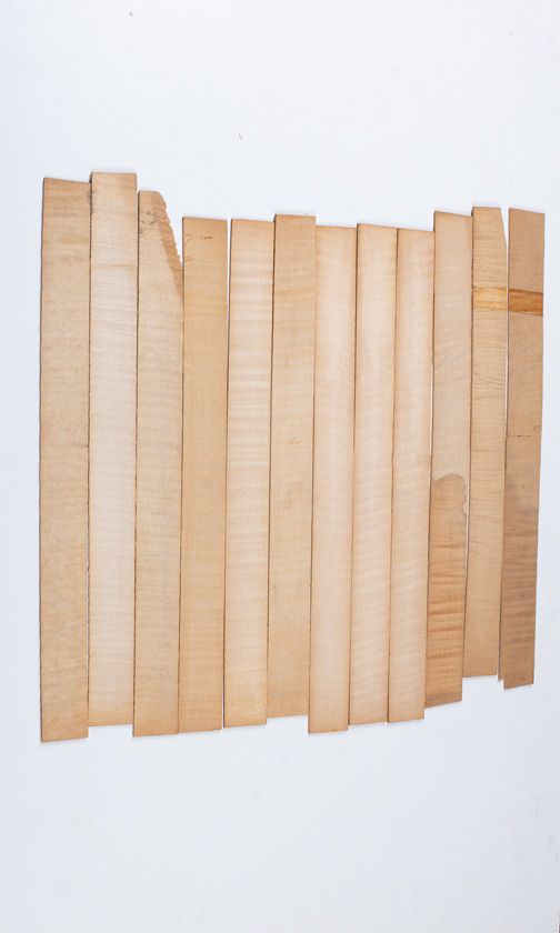 Twelve maple violin rib blanks