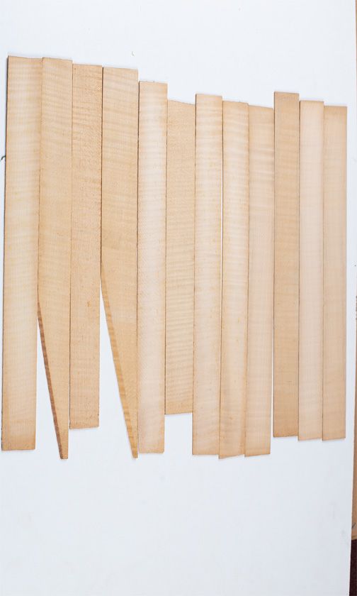 Twelve maple violin rib blanks