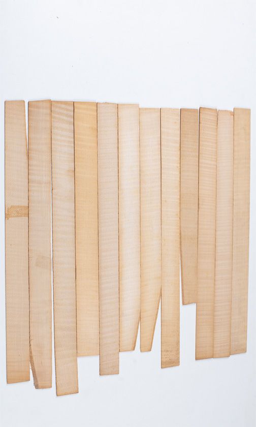 Twelve maple violin rib blanks
