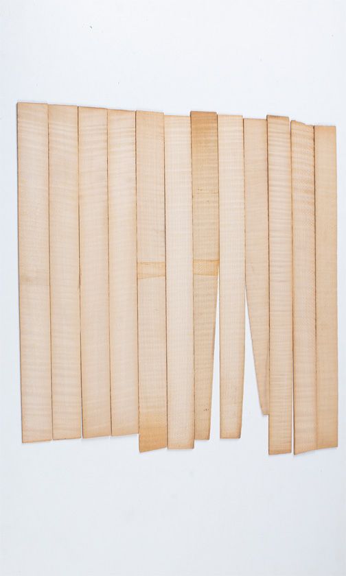 Twelve maple violin rib blanks