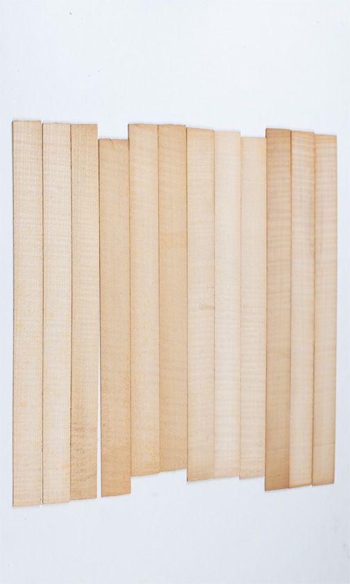 Twelve maple violin rib blanks