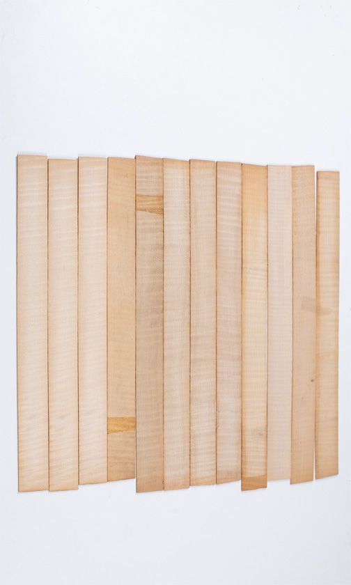 Twelve maple violin rib blanks