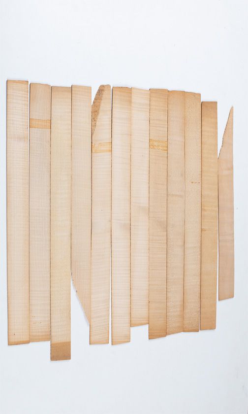 Twelve maple violin rib blanks