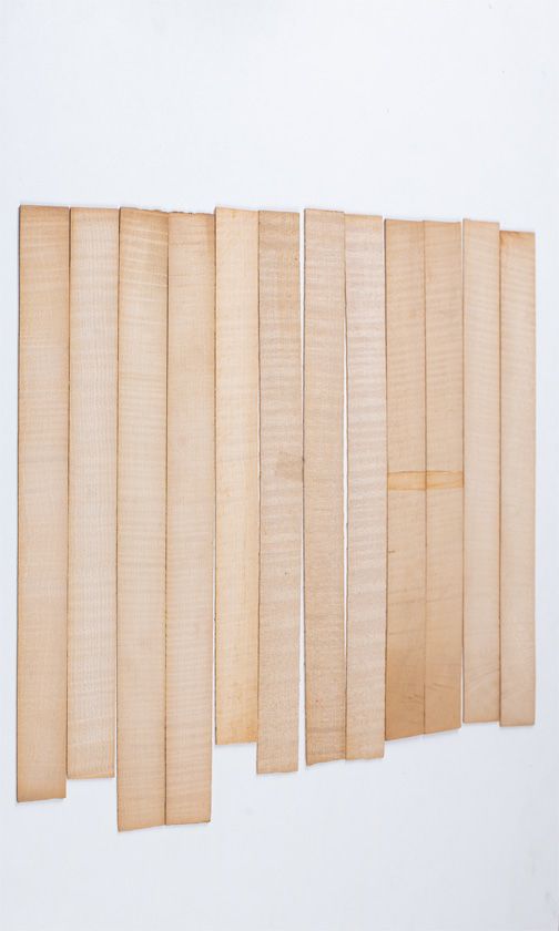 Twelve maple violin rib blanks