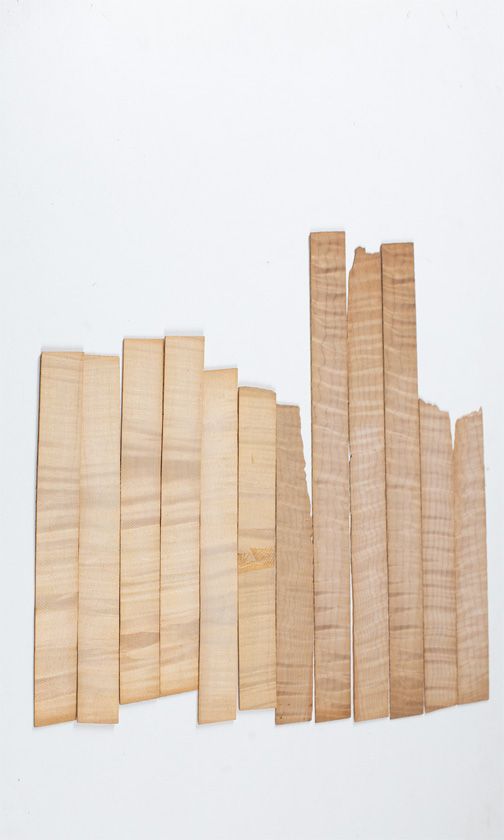 Twelve maple violin rib blanks