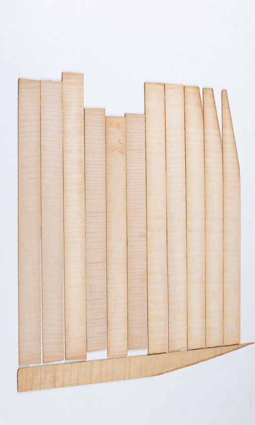 Twelve maple violin rib blanks