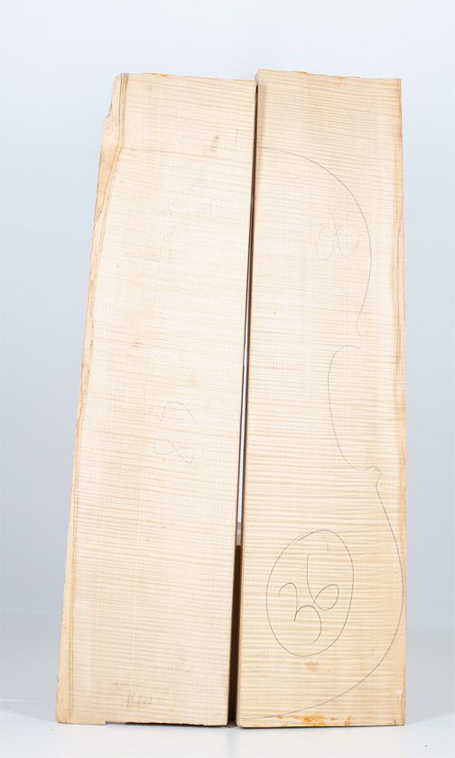 A two-piece maple cello back