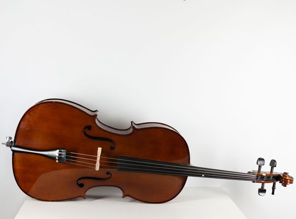 One cello and one child's cello