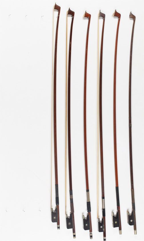Six viola bows