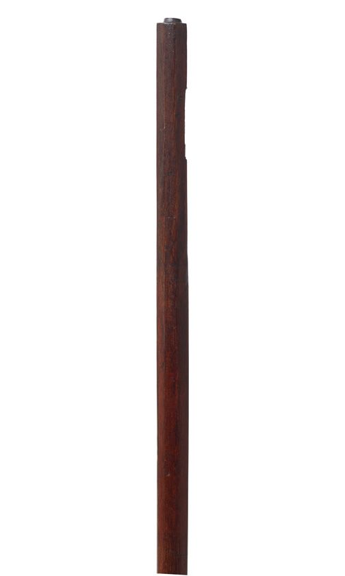 A cello bow stick