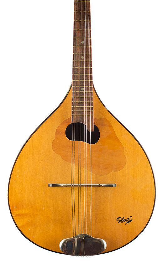 A mandolin