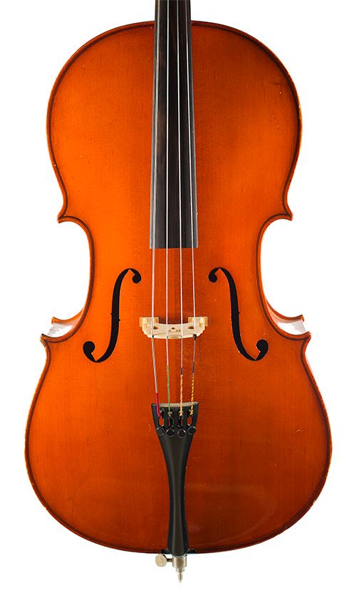 A 1/2 size cello