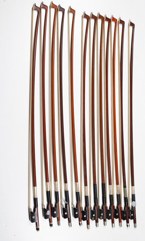 Twelve viola bows