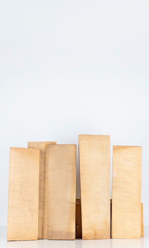 Five maple violin backs