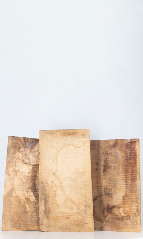 Five one-piece maple violin backs