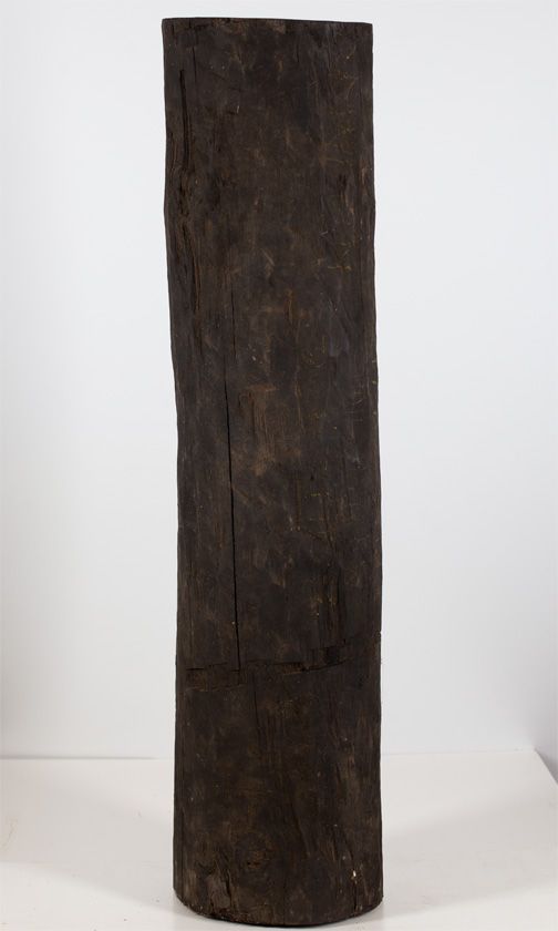 A large ebony log (98cm length, 22cm average diameter, 39.5kg weight)