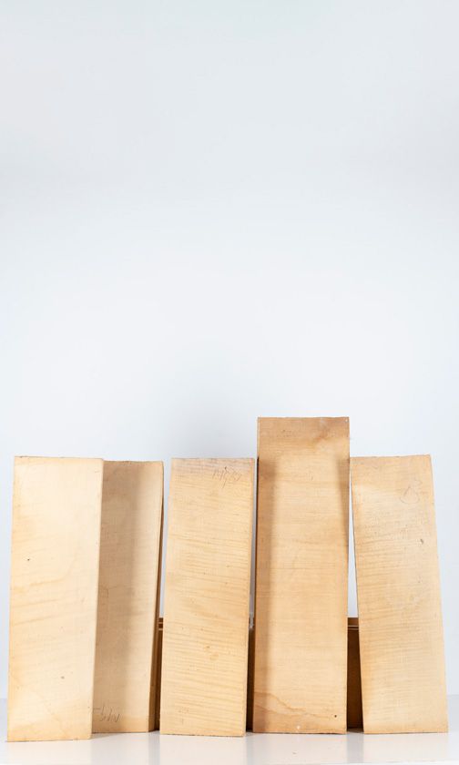 Five maple violin backs