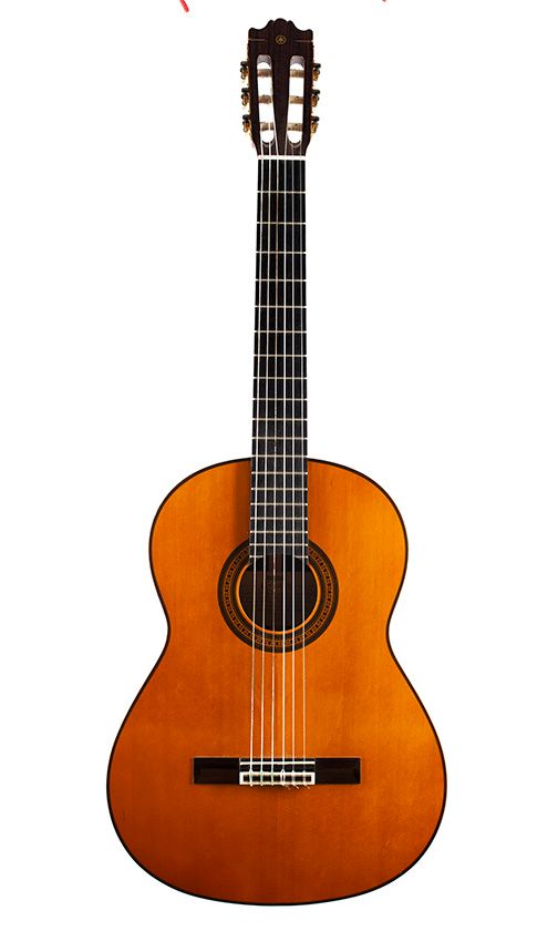 A Yamaha G245-S classical guitar