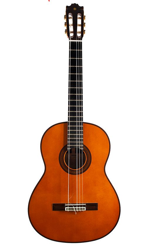 A Yamaha G255-S classical guitar