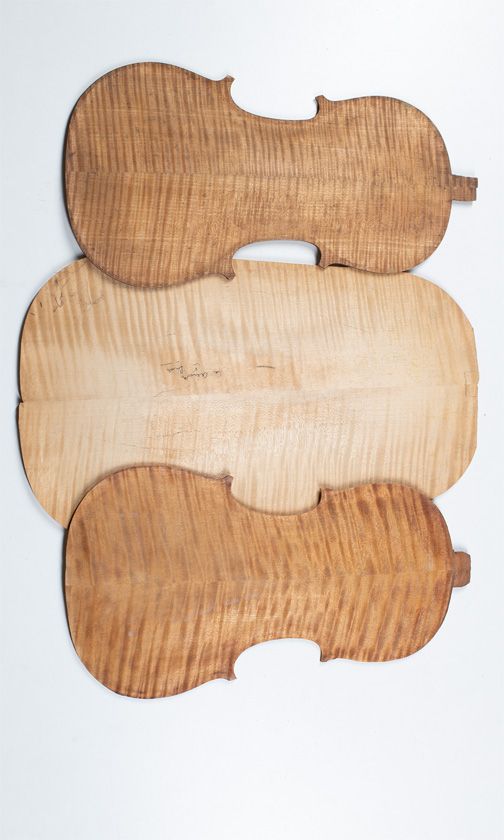 Four maple violin backs and one maple viola back