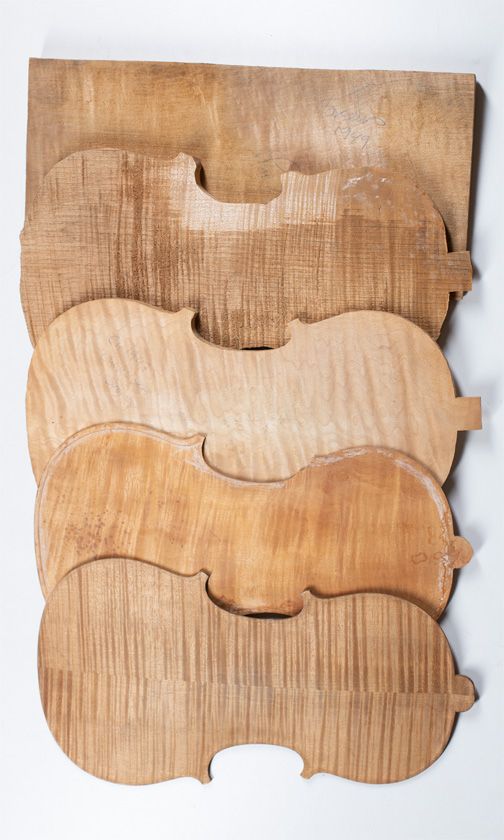 Five maple violin backs