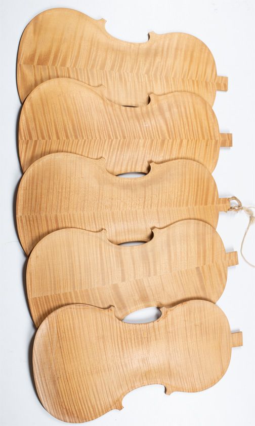 Five maple violin backs