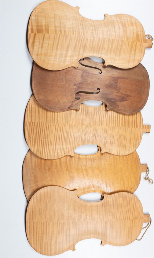 Five maple violin backs