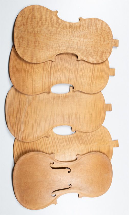 Four maple violin backs and one spruce violin table