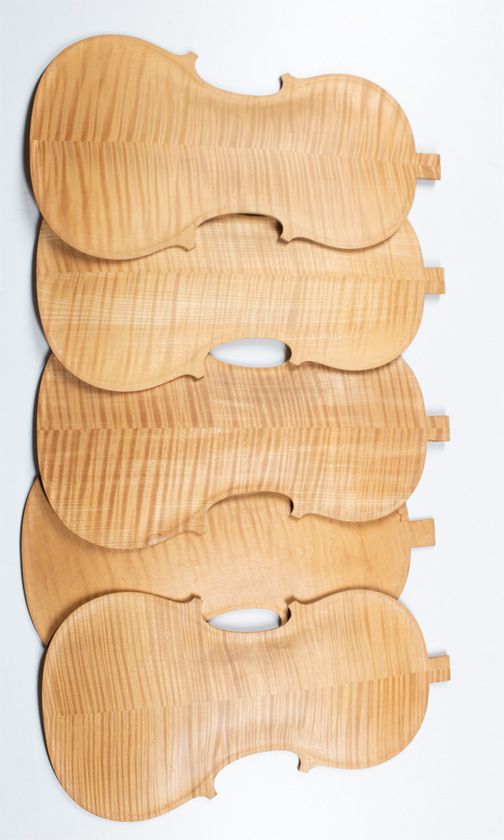 Five maple violin backs