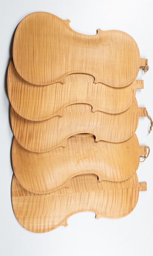 Five maple violin backs