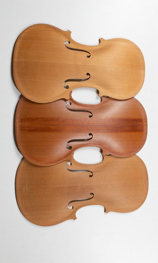 Five spruce violin tables