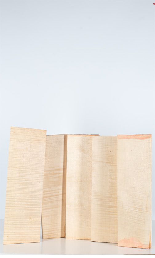 Five maple violin backs