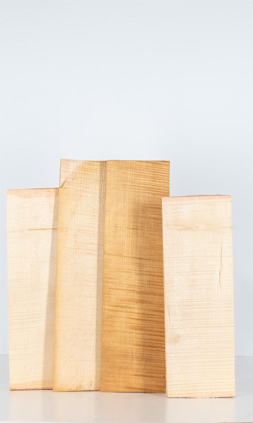 Five maple violin backs