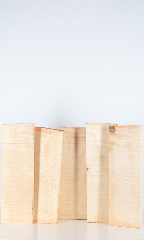 Five maple violin backs