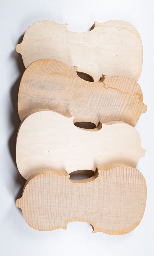 Four violin bodies