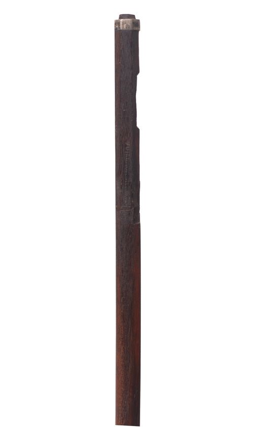 A cello bow stick