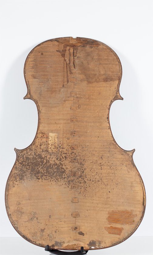 One cello back