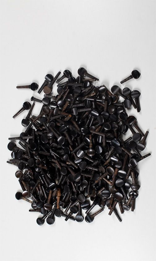 A large quantity of violin pegs