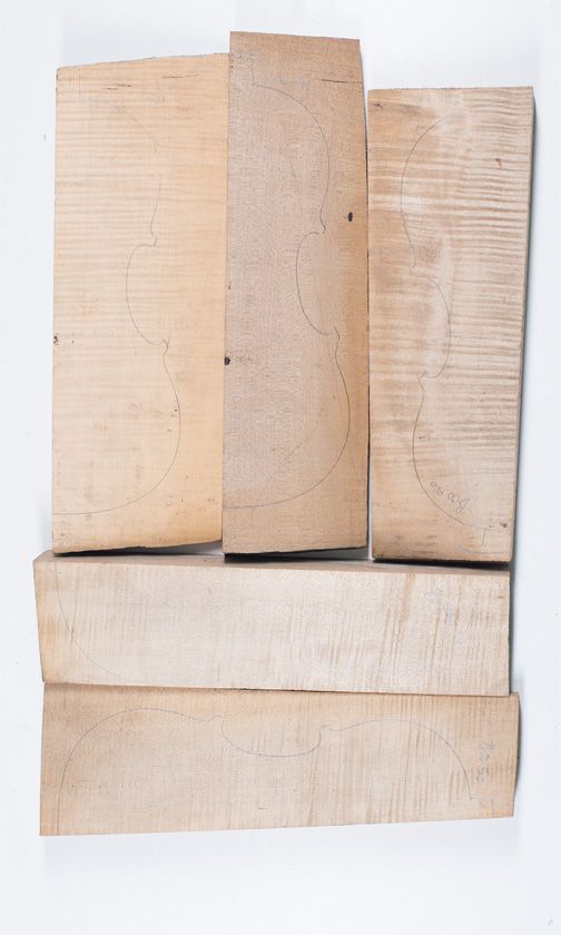 Five maple violin backs