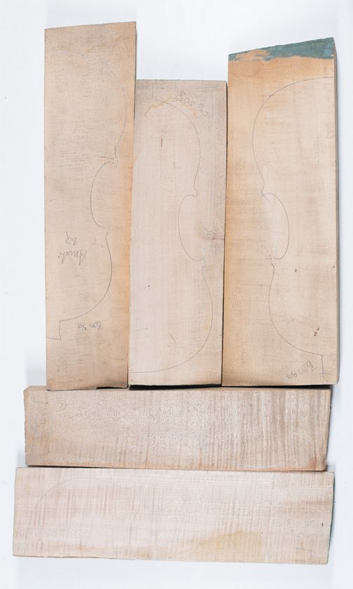 Five maple violin backs