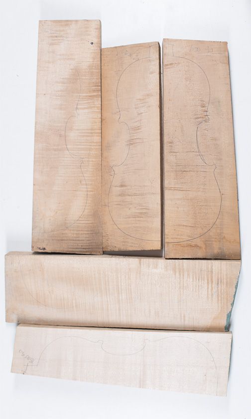 Five maple violin backs