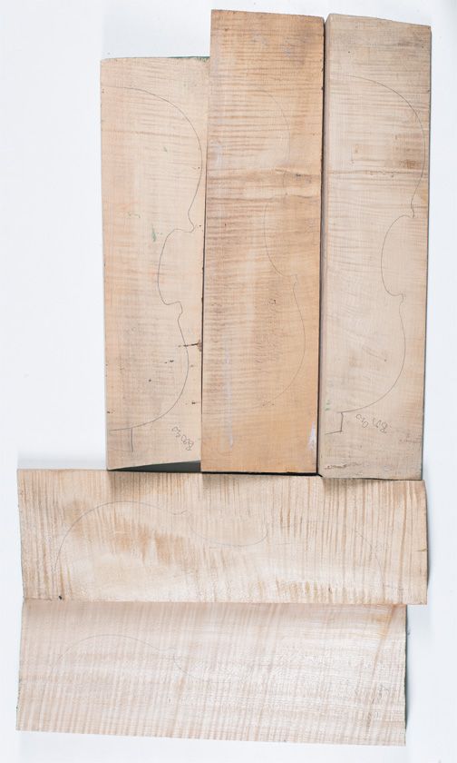 Five maple violin backs
