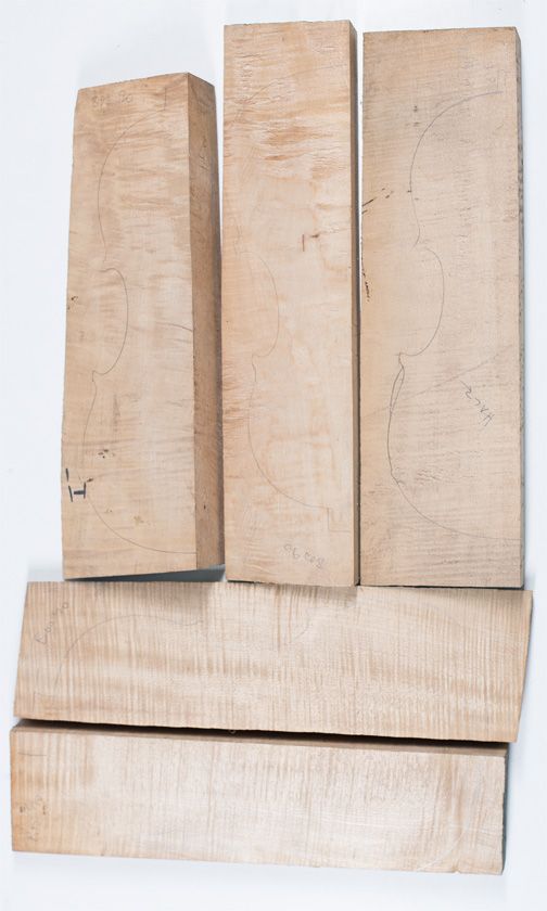 Five maple violin backs
