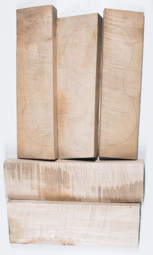 Five maple violin backs