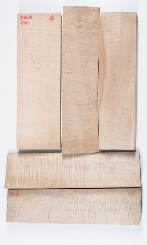 Five maple violin backs
