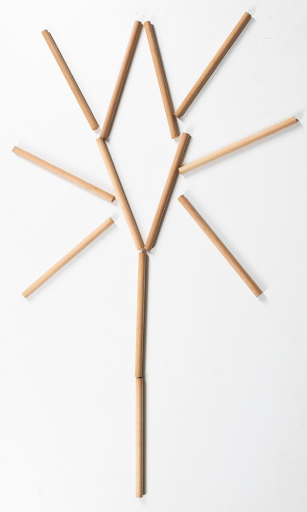 Twelve cello soundposts