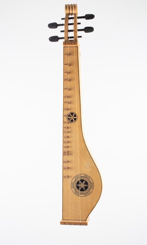 A four-string fretted instrument