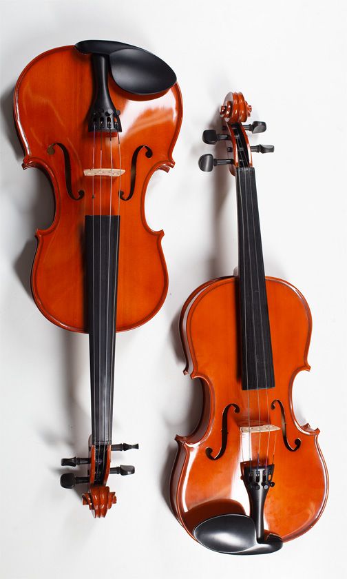 Two violins