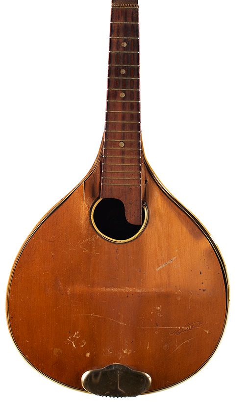 A twelve-string mandolin