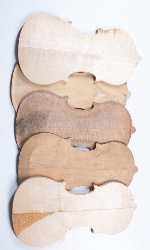 Five maple violin backs